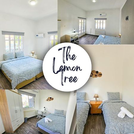 The Lemon Tree Hostel Larnaka Exterior foto