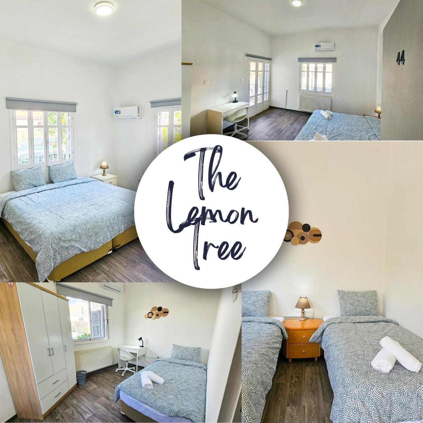 The Lemon Tree Hostel Larnaka Exterior foto